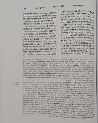 חידושי רבנו חיים הלוי על הרמב"ם - עם ביאורים והערות / אבוקה