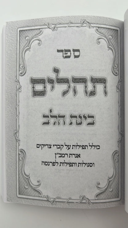 תהילים בינת הלב בעיטור הכותל המערבי - מגוון צבעים פורמט קטן (כריכה רכה)