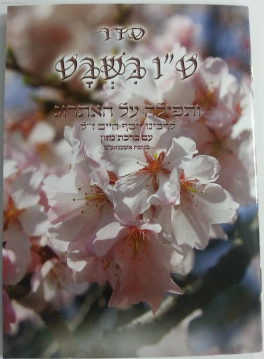 סדר טו' בשבט עם ברכת המזון בנוסח משולב