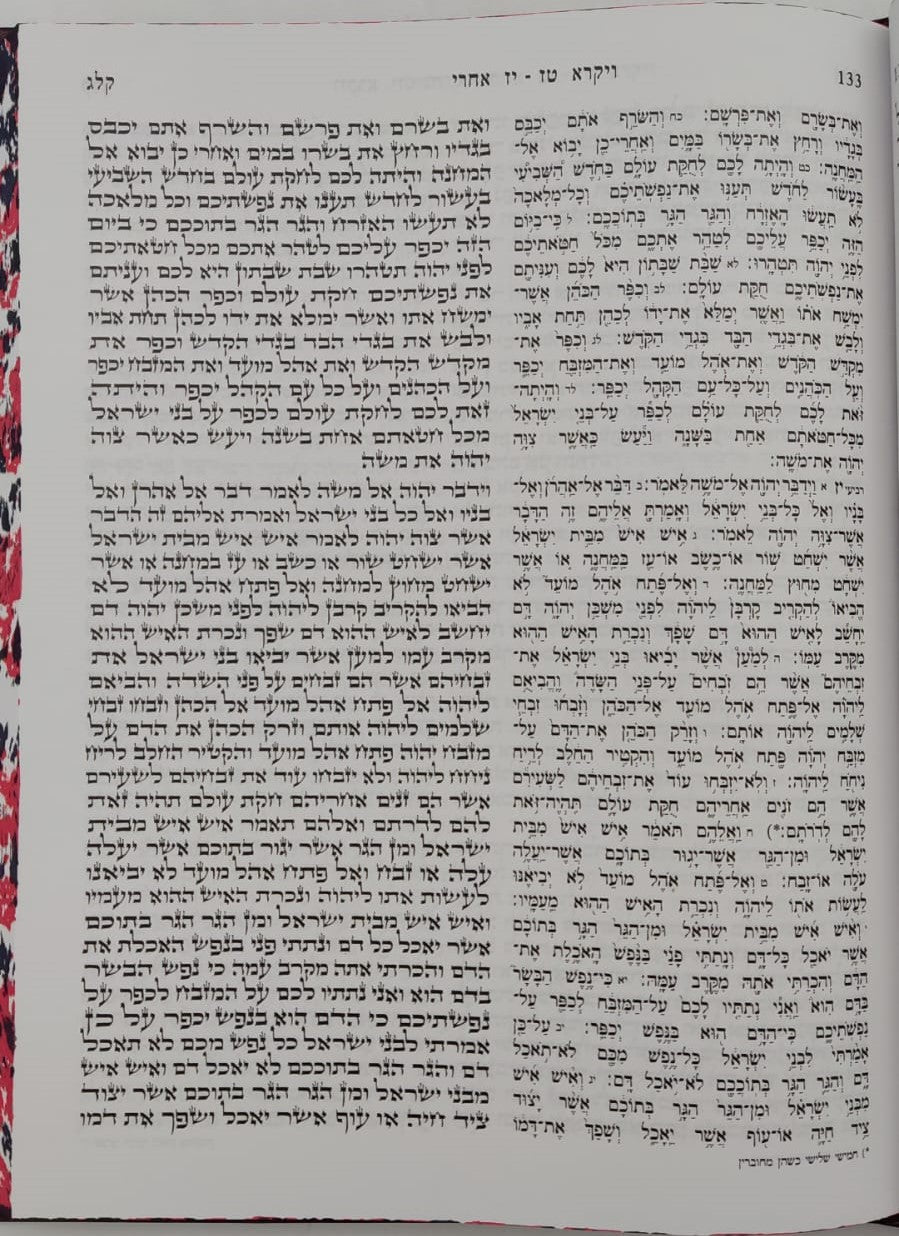 תיקון קוראים - הוצאת מישור / פורמט בינוני-פנינים