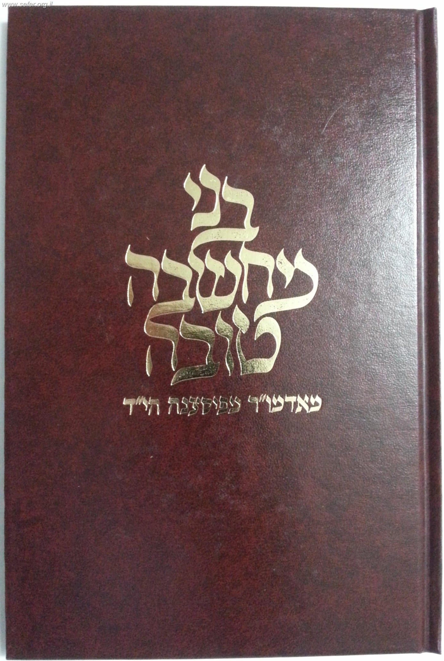 בני מחשבה טובה - האדמו"ר מפיאסצנה