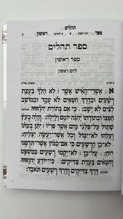 ספר תהילים עבודת השם