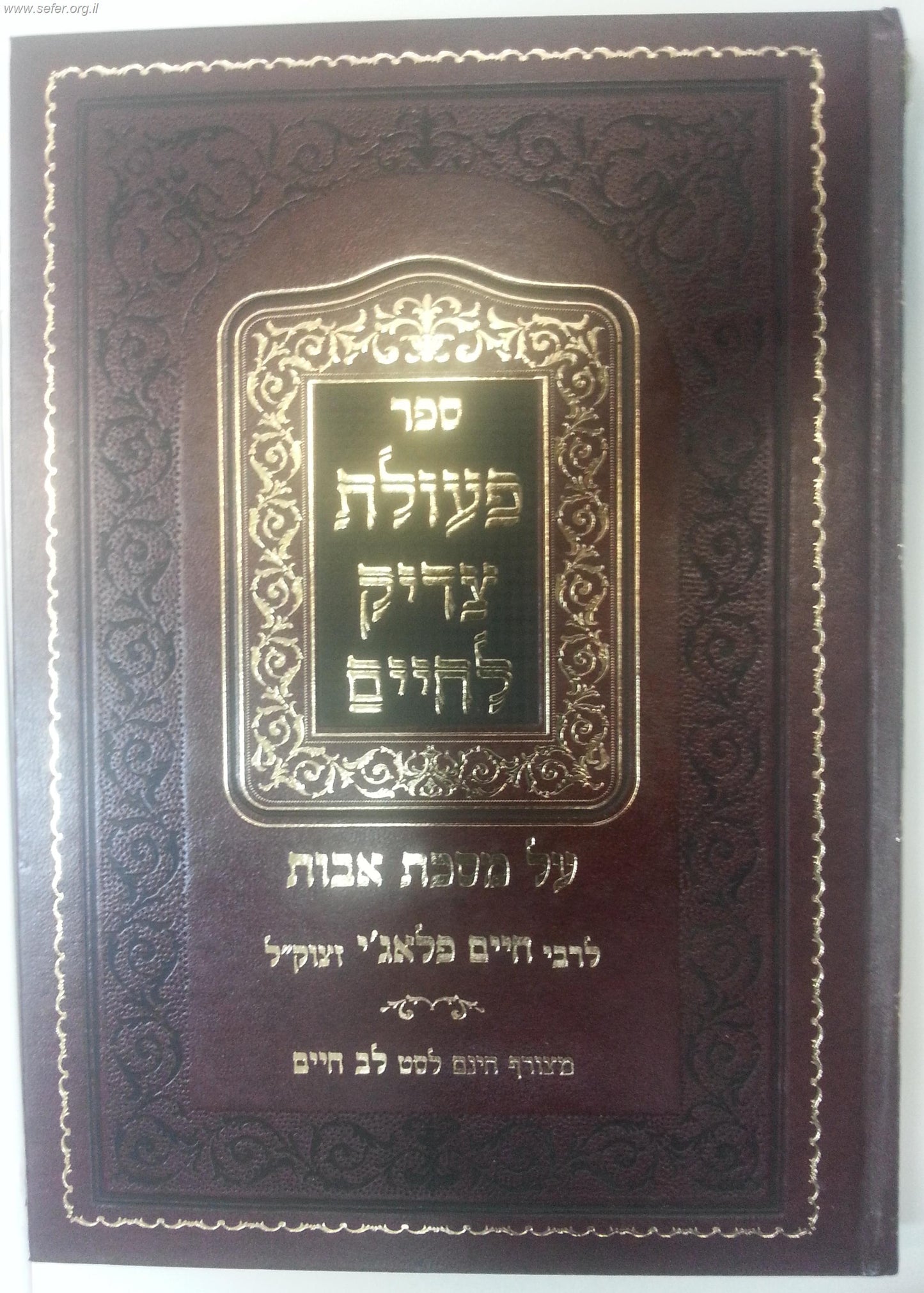 פעולת צדיק לחיים / ר' חיים פלאג'י