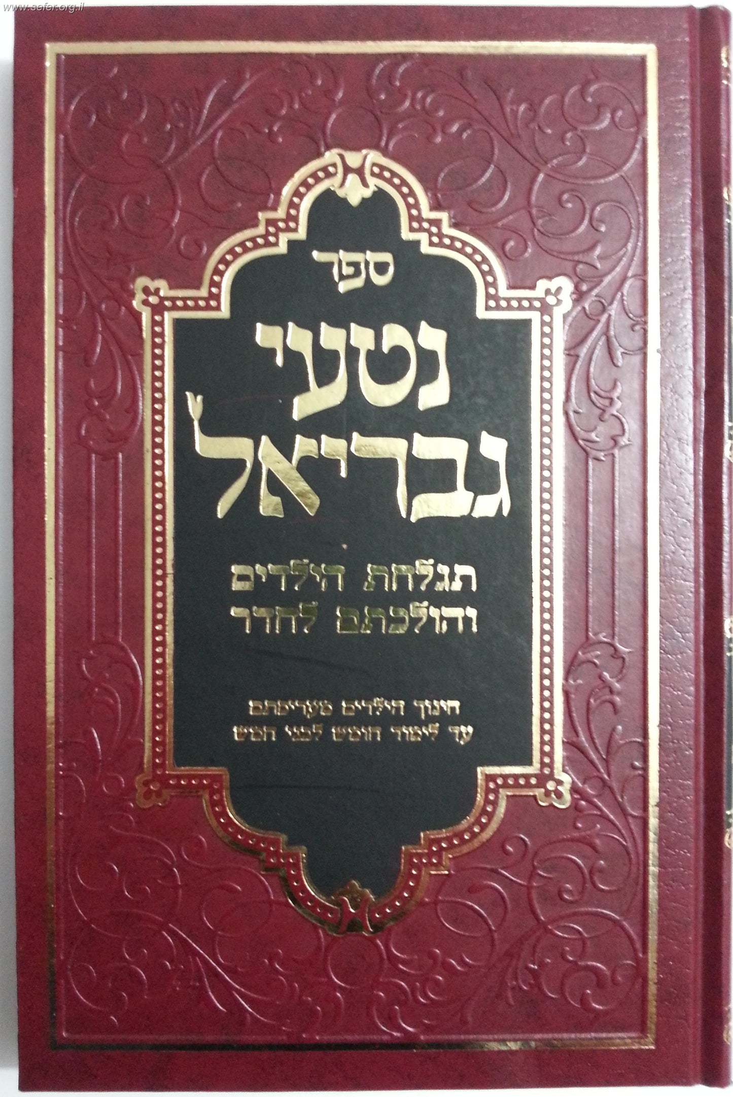 נטעי גבריאל - תגלחת הילדים (חלאקה) והולכתם לחדר / הרב גבריאל ציננער