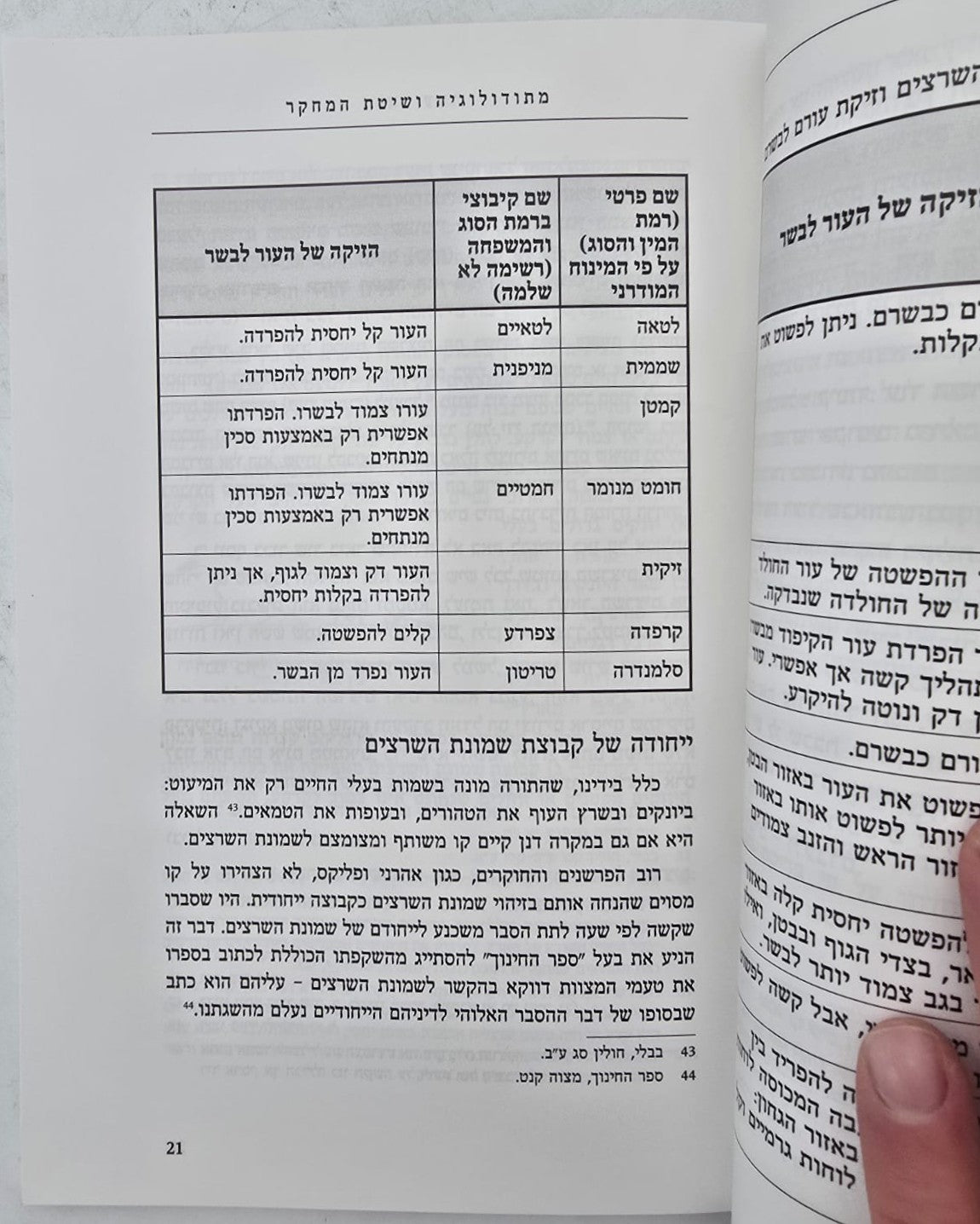 שמונת השרצים / זהר עמר