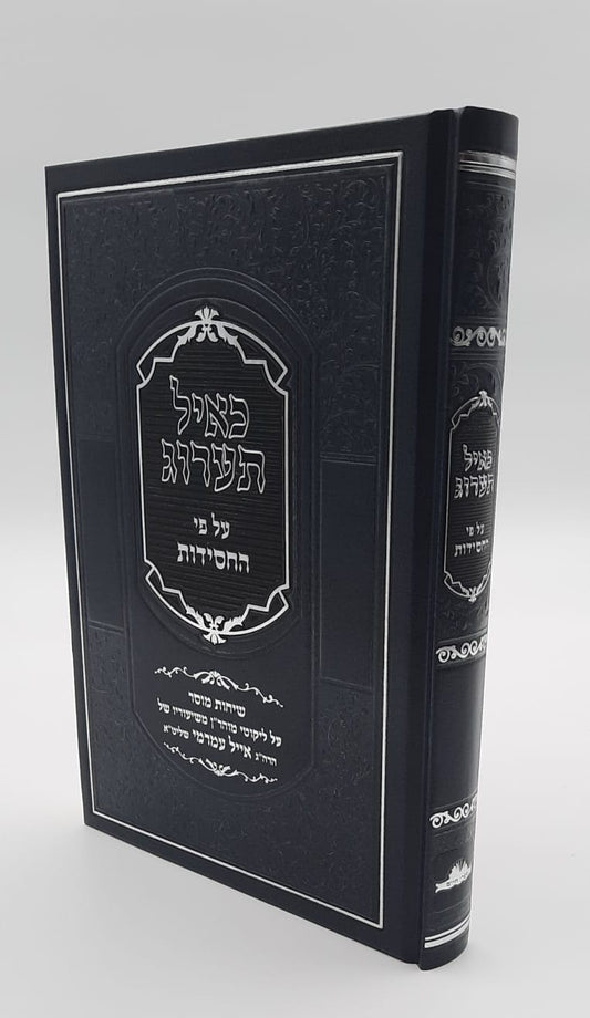 כאיל תערוג - על פי החסידות חלק ב' / הרב אייל עמרמי שליט"א