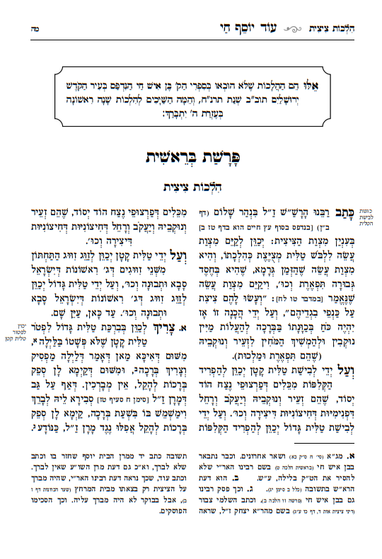 עוד יוסף חי הלכות - מאיר עיניים / עם מקורות וביאורים ושיטות הפוסקים