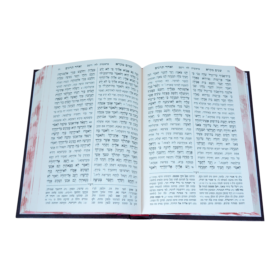 שניים מקרא ואחד תרגום ב' כרכים / עוז והדר