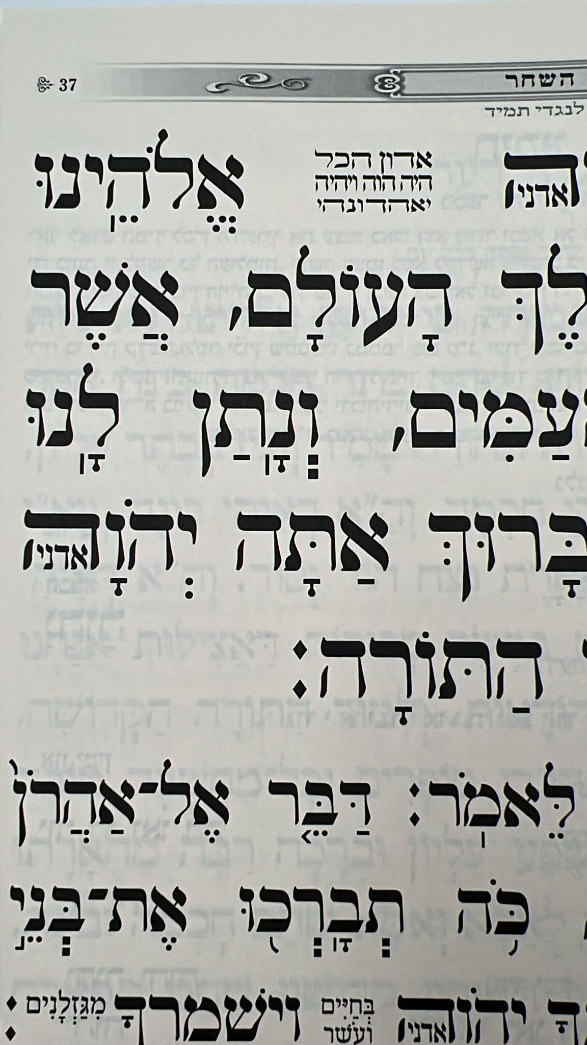 סידור כוונת הלב לשליח ציבור