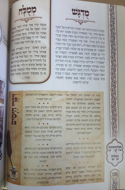 מועדים טיש - סיפורי צדיקים, פנינים ופרפראות על המועדים