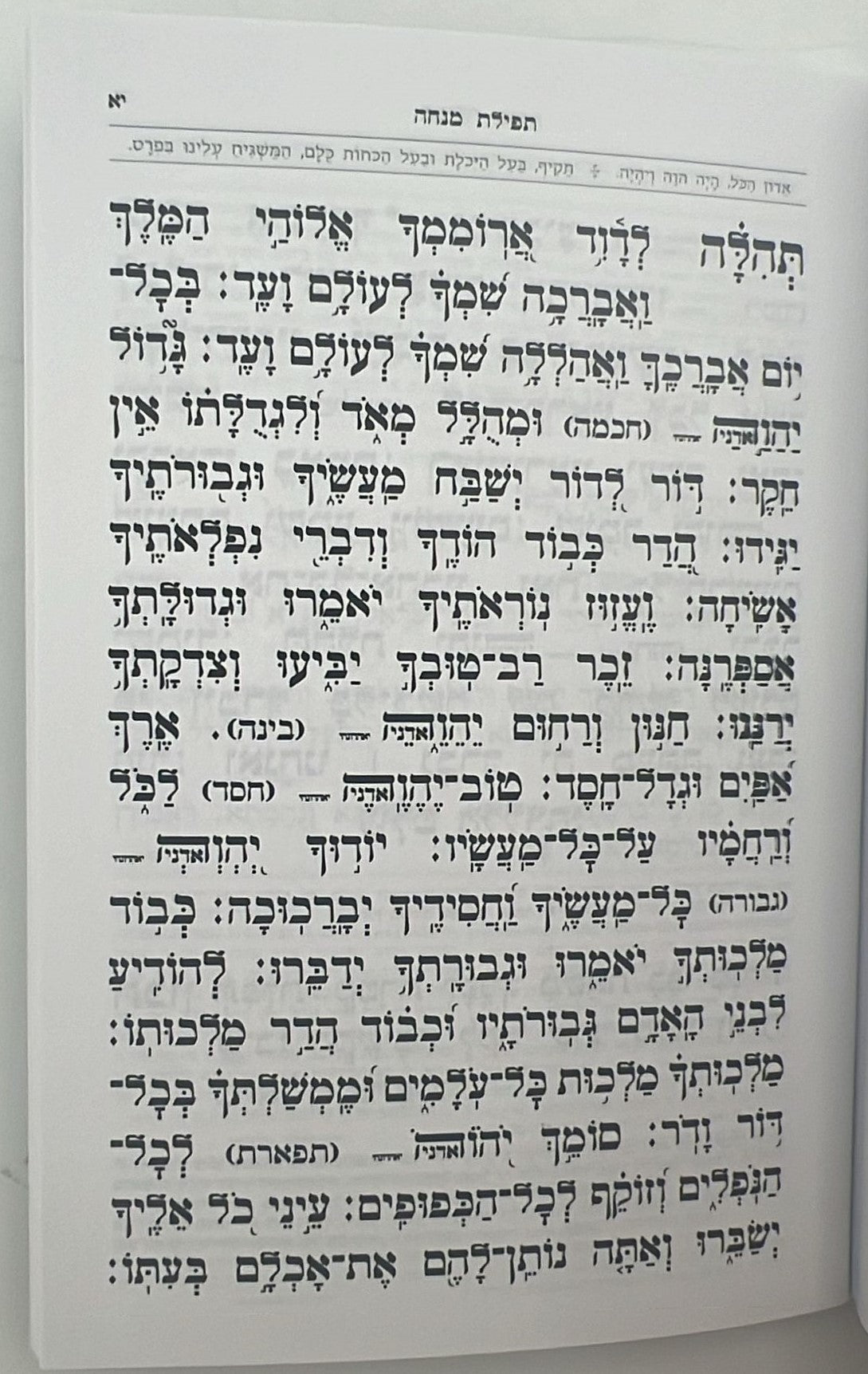 סידור מנחה ערבית - אביר יעקב דמוי עור ע"מ / עוז והדר