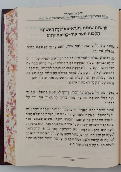 הדודאים נתנו ריח - הלכות תפילה חלק ב' / שו"ת לפי ספר בן איש חי