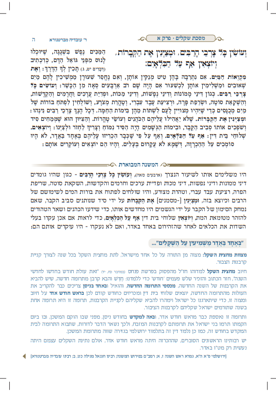 משניות מבוארות עם ציורים - שקלים / מכון אבוקה