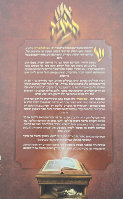 אש המגיד - בראשית / רבי אשר דרוק שליט"א