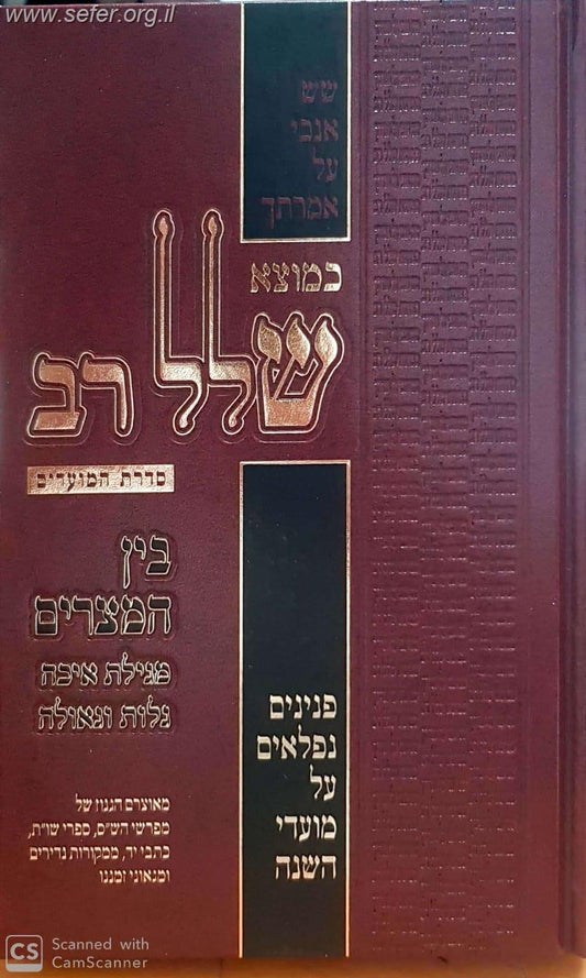 כמוצא שלל רב על המועדים - בין המצרים