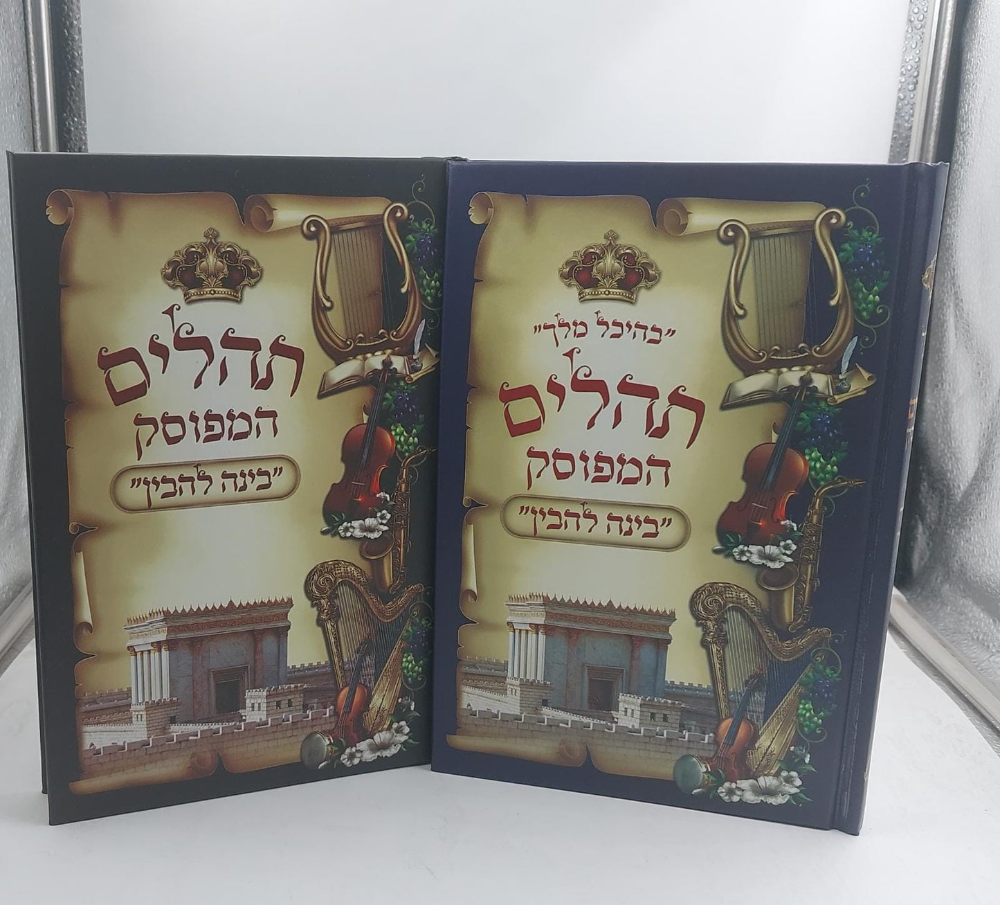 תהילים המפוסק בינה להבין