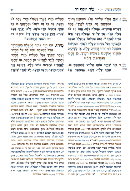 בן איש חי הלכות - עוד יוסף חי הלכות - מאיר עיניים סט ג' כרכים / עם מקורות וביאורים ושיטות הפוסקים