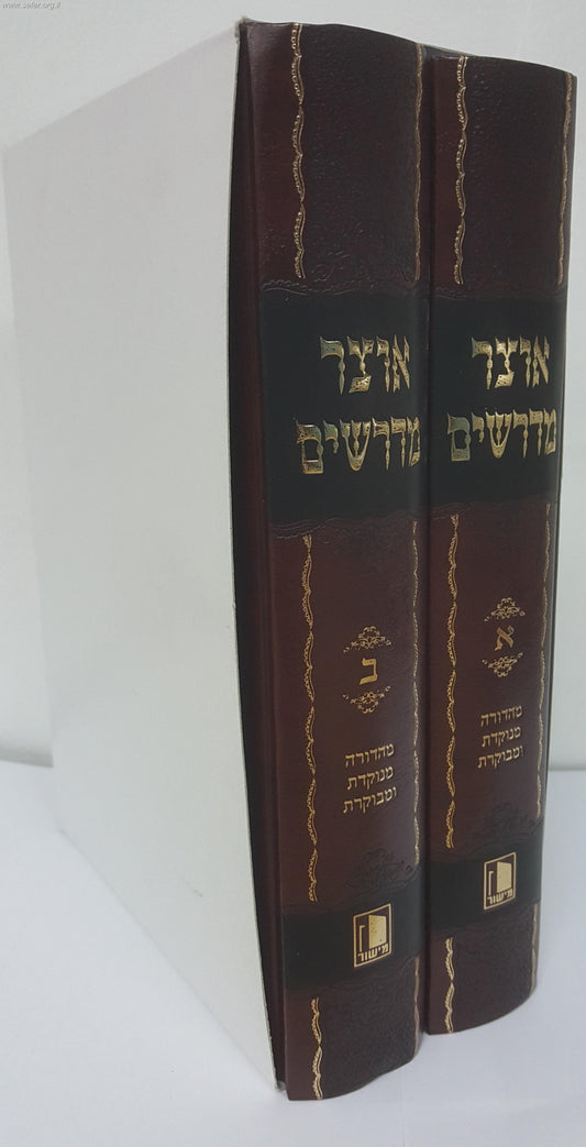 אוצר מדרשים ב' כרכים / יהודה דוד אייזנשטיין