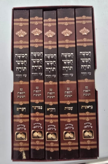 חמשה חומשי תורה מהדורת כיס [למינציה] / עוז והדר