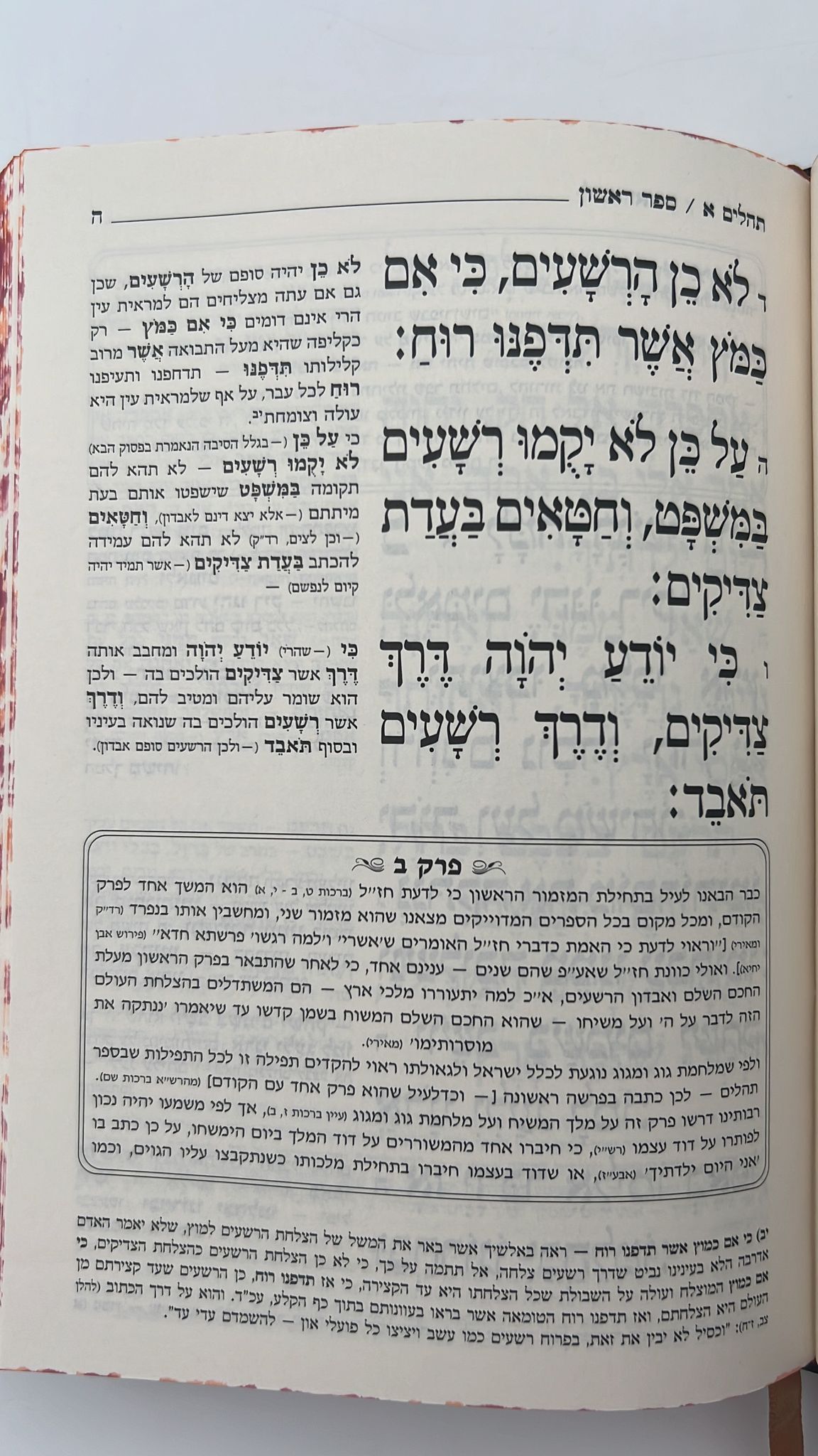 תהילים המפורש - עם  מבוא והוספות / פורמט ענק (24 ס''מ)