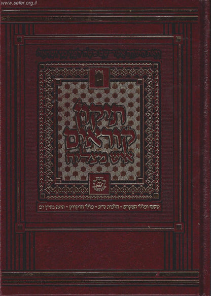 תיקון קוראים איש מצליח מוקטן