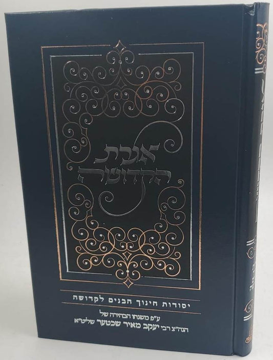 אגרת הקדושה - יסודות חינוך הבנים לקדושה / רבי יעקב מאיר שכטער שליט''א