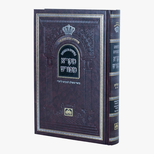 מקרא מפורש על הנ"ך - תהילים ג' / עוז והדר