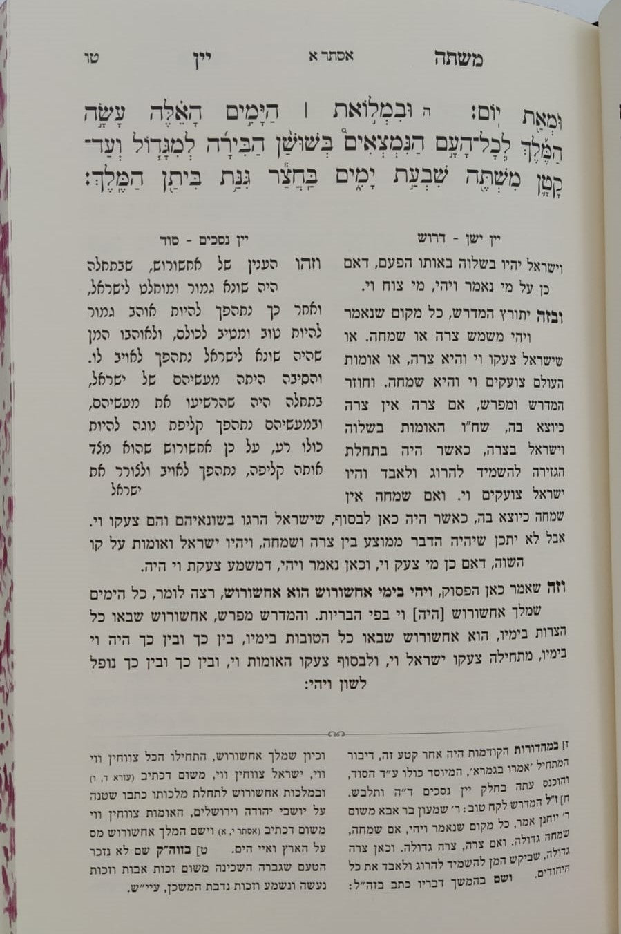 משתה יין - על מגילת אסתר דרך פרד"ס / ספר חידושי גאונים
