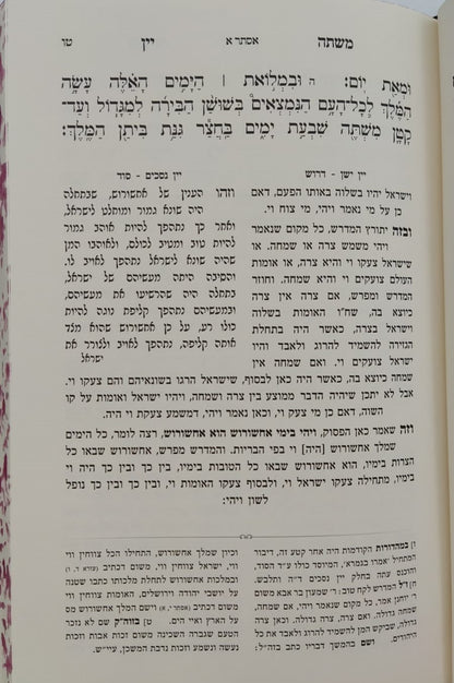 משתה יין - על מגילת אסתר דרך פרד"ס / ספר חידושי גאונים