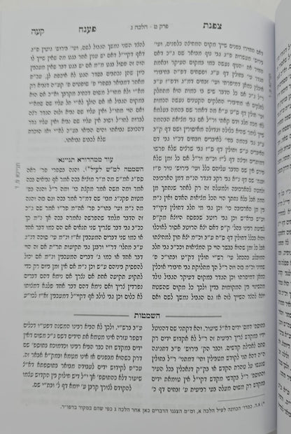 צפנת פענח השלם - על הרמב"ם סט ב' כרכים / מכון עלה זית