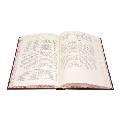 רבינו בחיי המבואר - על התורה י' כרכים / עוז והדר