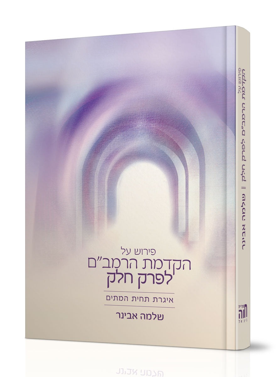 הקדמת הרמב"ם לפרק חלק עם פירוש הרב שלמה אבינר