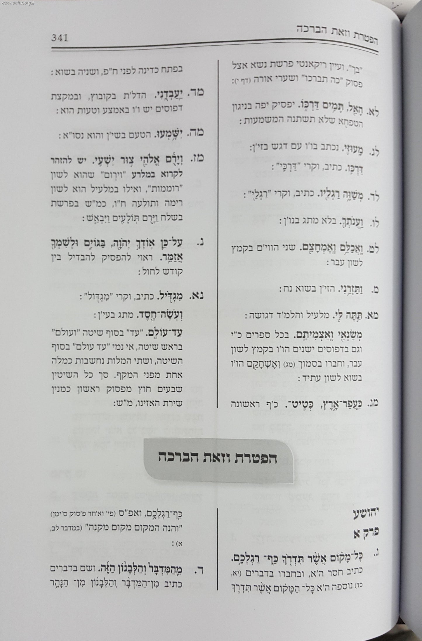 אם למקרא ולמסורת - כללי הקריאה הנכונה למתפלל ולקורא בתורה