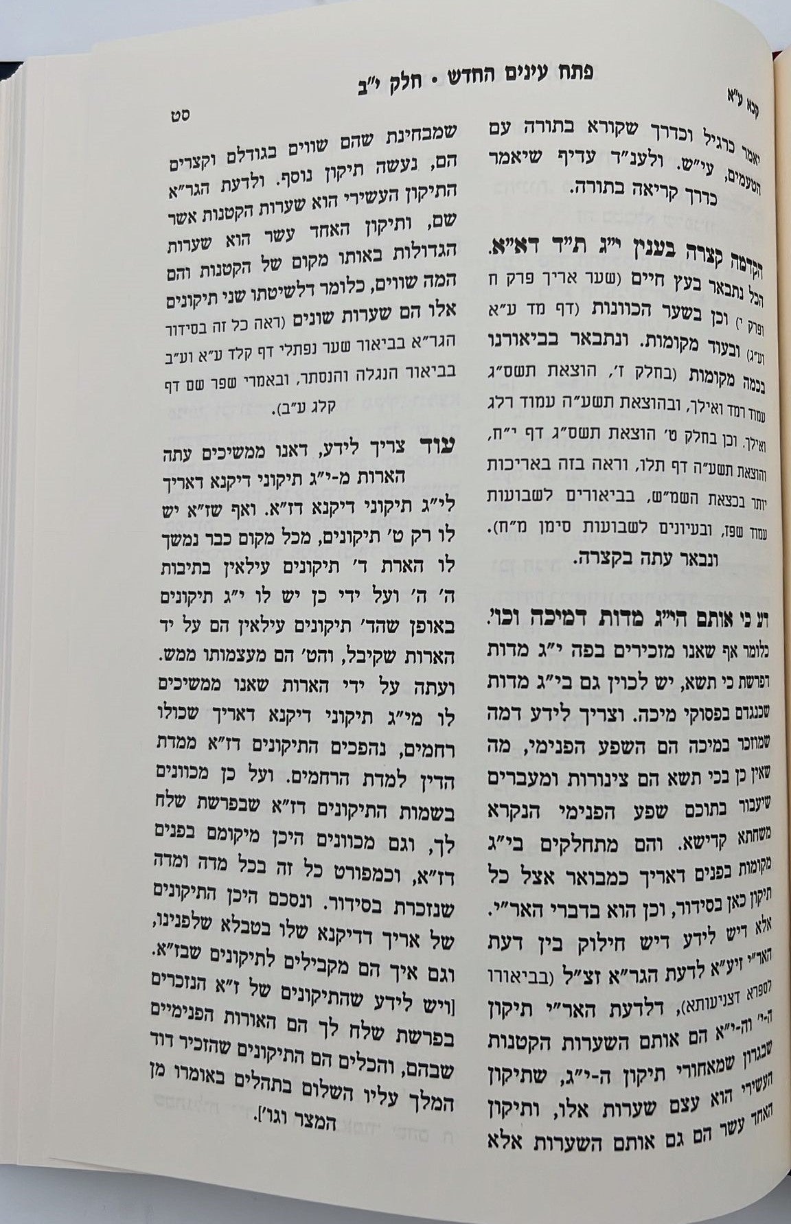 פתח עיניים החדש - על סידור הרש"ש זיע"א כרך יב' / רבי שריה דבליצקי זצ"ל