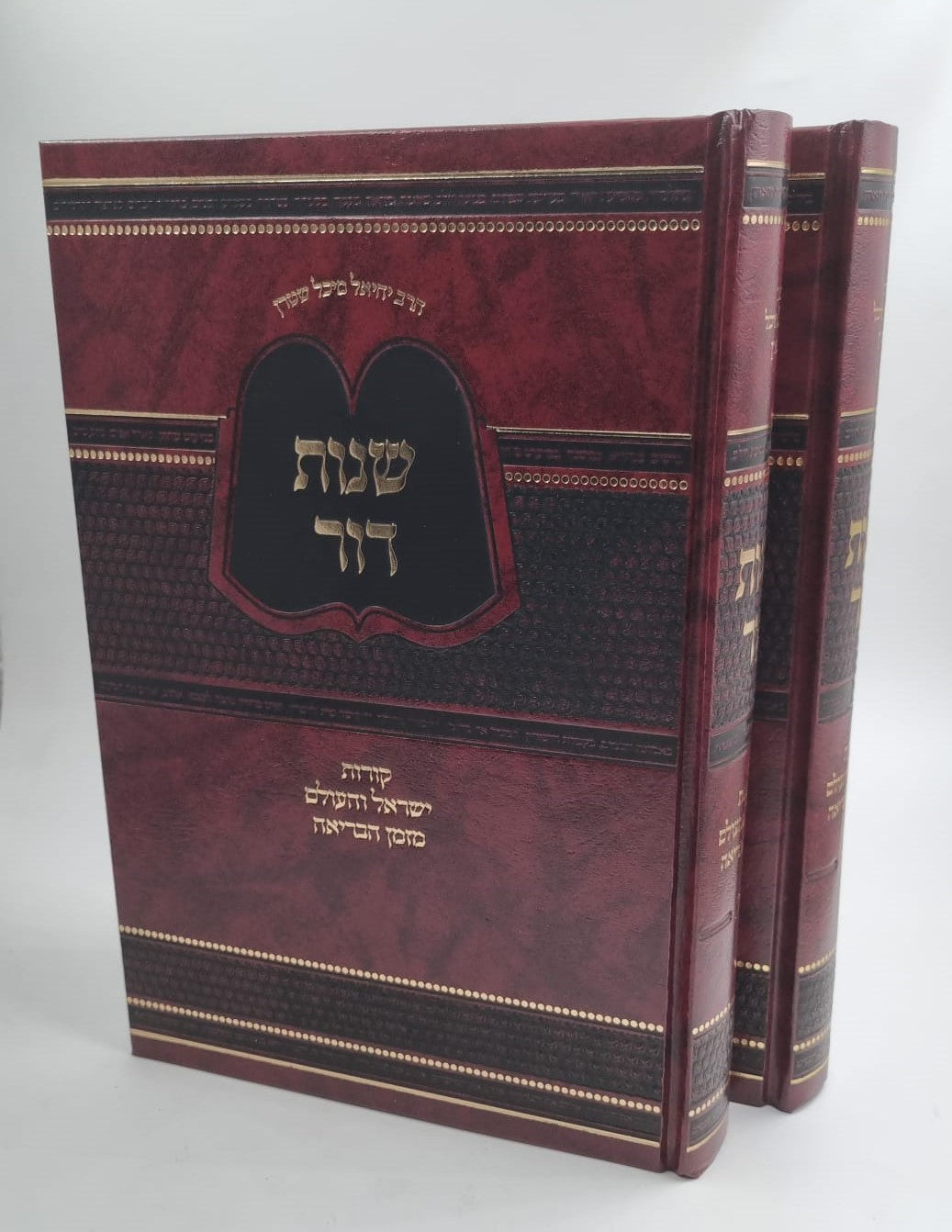 שנות דור ב' כרכים / הרב מיכל שטרן