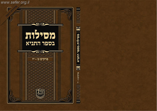 מסילות בספר התניא חלק ב' / הרב פנחס פרידמן