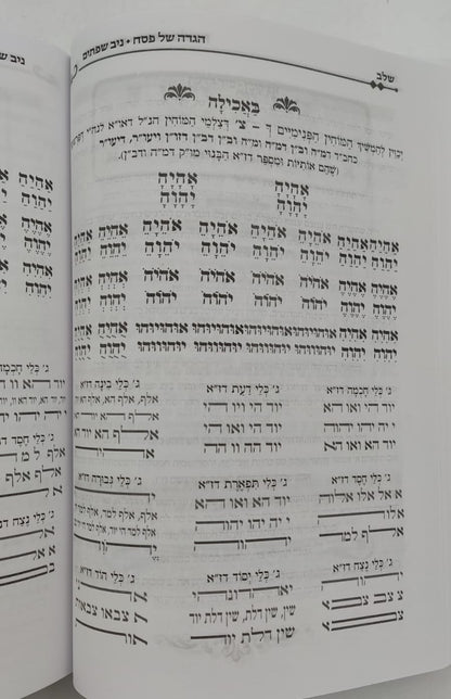 הגדה של פסח - ניב שפתיים / אליבא דנפשיה