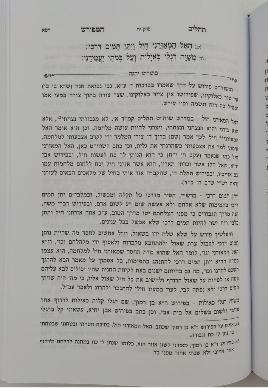 ספר תהילים עם ביאור בתורתו יהגה -חלק א / הגאון הרב דוד פולק שליט"א