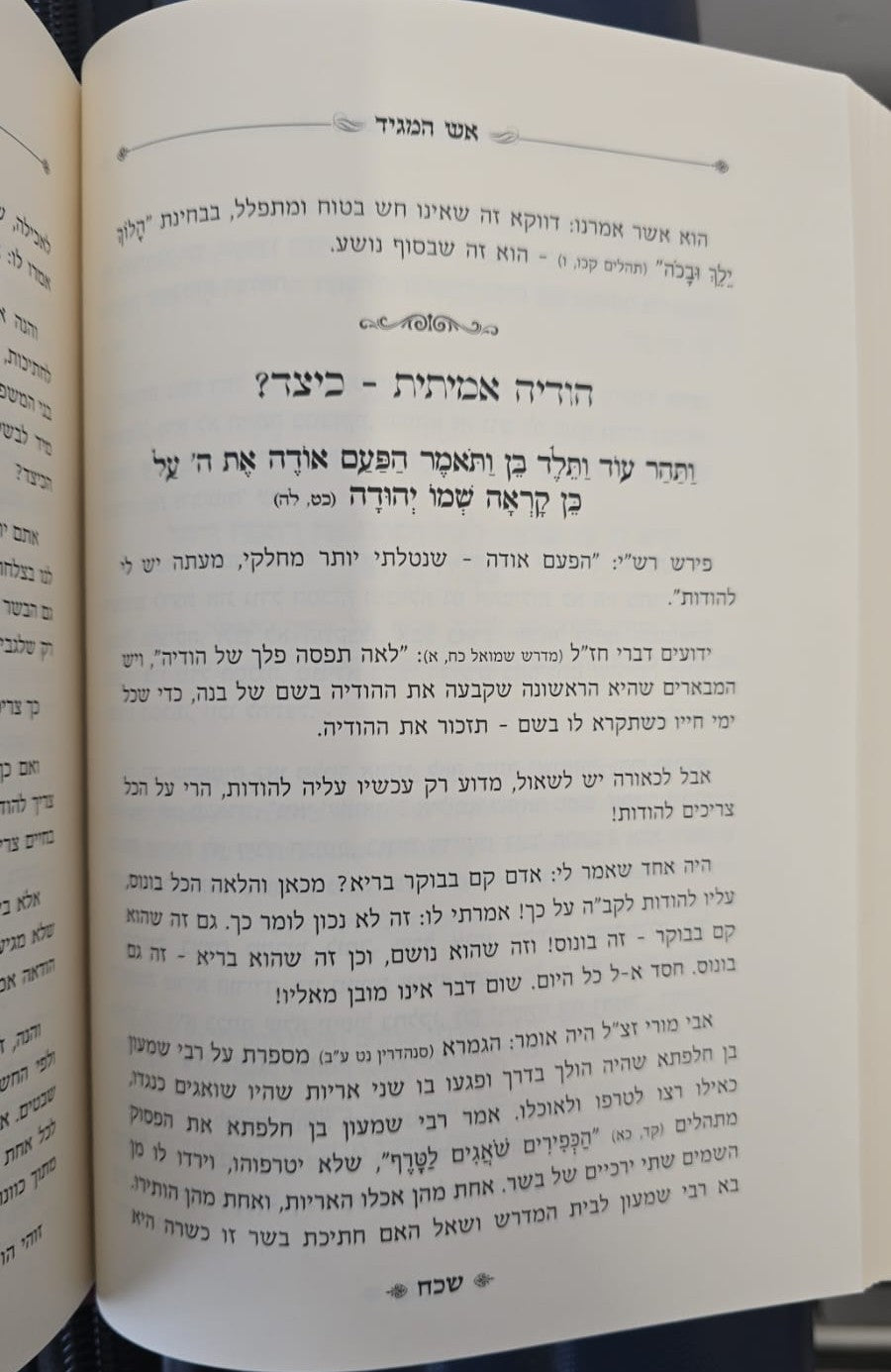 אש המגיד - בראשית / רבי אשר דרוק שליט"א