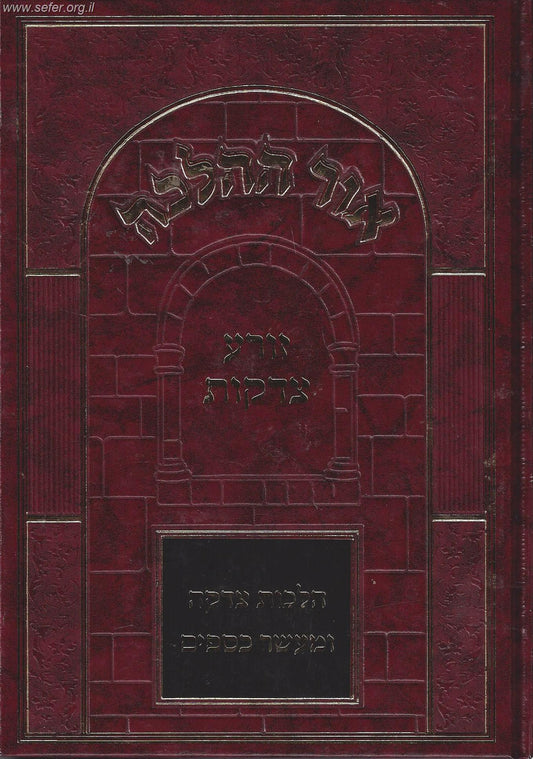 אור ההלכה זורע צדקות - הלכות צדקה ומעשר כספים / הרב דוד כהן שליט"א (אזל מהמלאי)