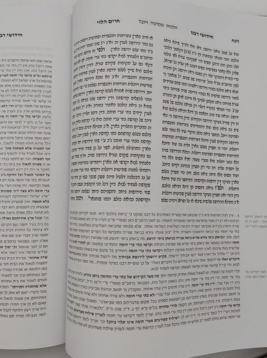 חידושי רבנו חיים הלוי על הרמב"ם / עם ביאורים והערות