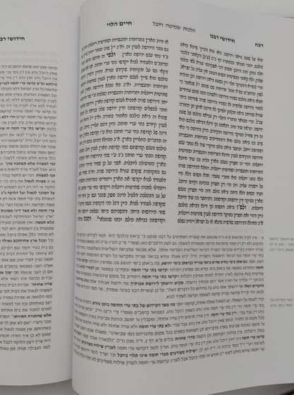 חידושי רבנו חיים הלוי על הרמב"ם / עם ביאורים והערות