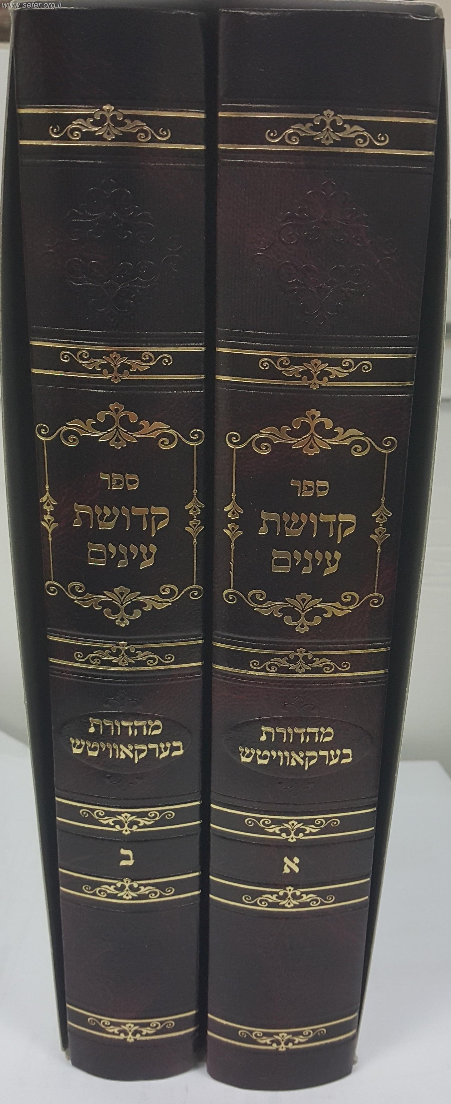 קדושת עיניים ב' כרכים - פורמט גדול / הרב אהרן טויסיג