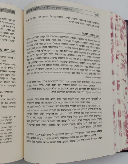 נפלאות הסבא קדישא מראדושיץ - כרך א' / על התורה ומועדים