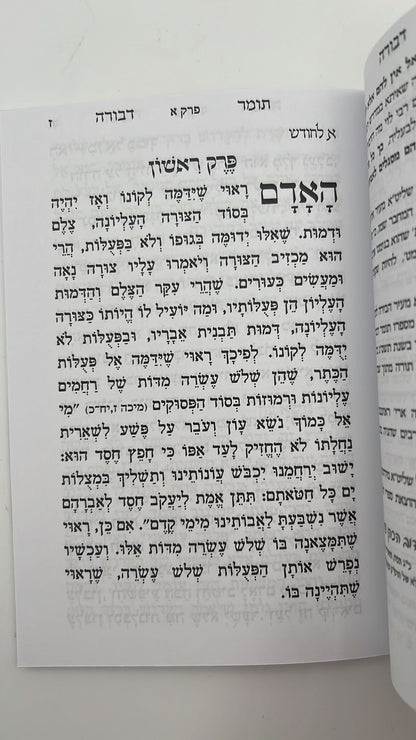 תומר דבורה פורמט כיס מוגדל - מחולק לימות החודש / אור דוד