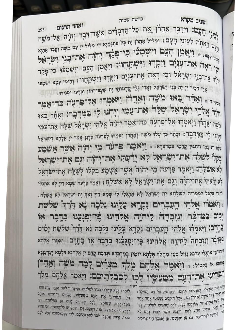 שניים מקרא ואחד תרגום בכרך אחד / אברמוביץ'