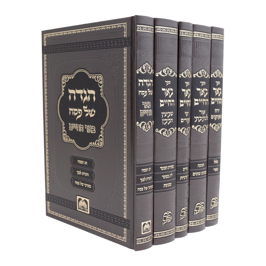 באר החיים ה' כרכים - מועדים / ר' אברהם אלימלך בידרמן שליט"א