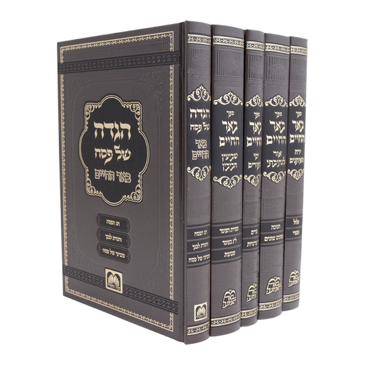 באר החיים ה' כרכים - מועדים / ר' אברהם אלימלך בידרמן שליט"א