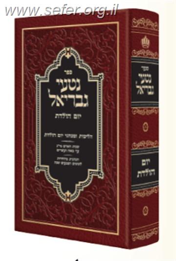 נטעי גבריאל - יום הולדת