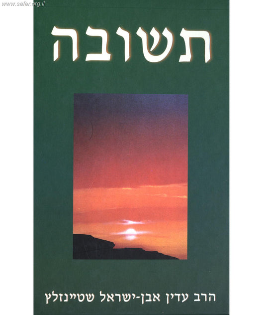 תשובה - הרב שטיינזלץ